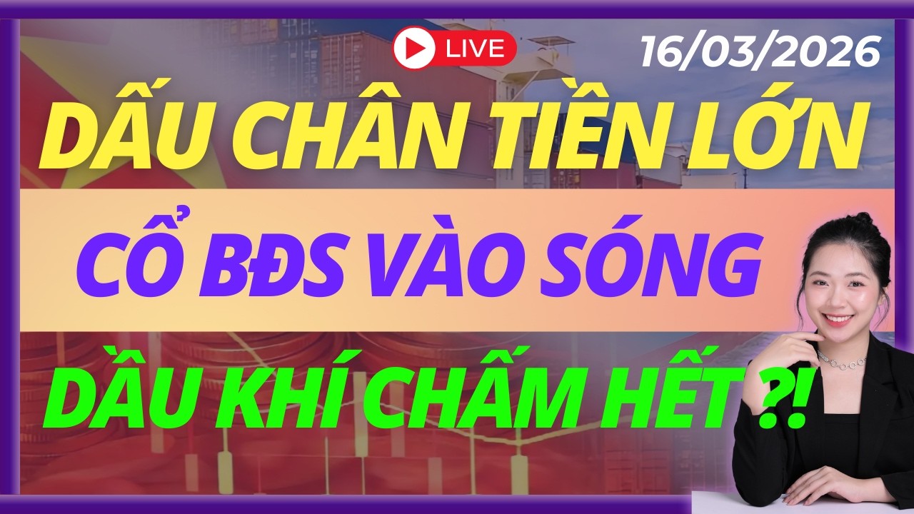 Dấu Chân Tiền Lớn Khi Thị Trường Điều Chỉnh Vol Thấp, Bán Cổ Này là Mất Hàng  | LIVESTREAM | DAILY