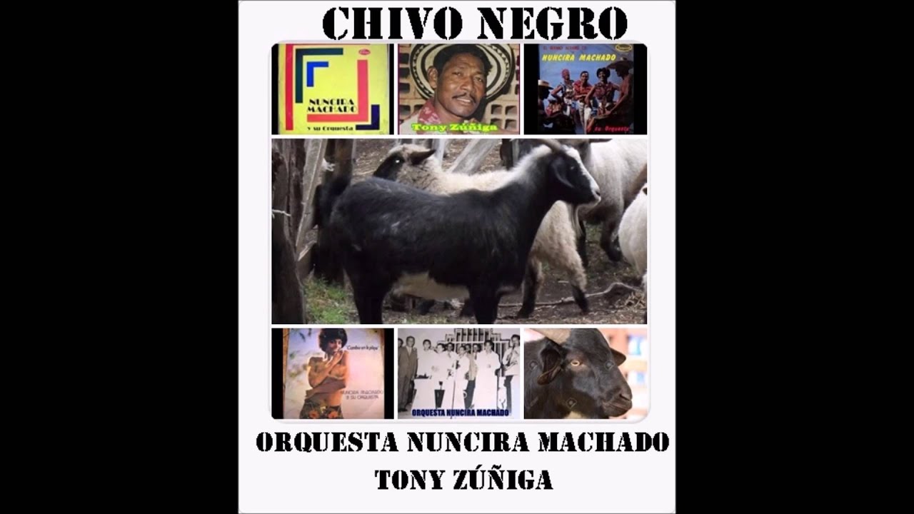 EL CHIVO NEGRO. ORQUESTA NUNCIRA MACHADO, TONY ZÚÑIGA