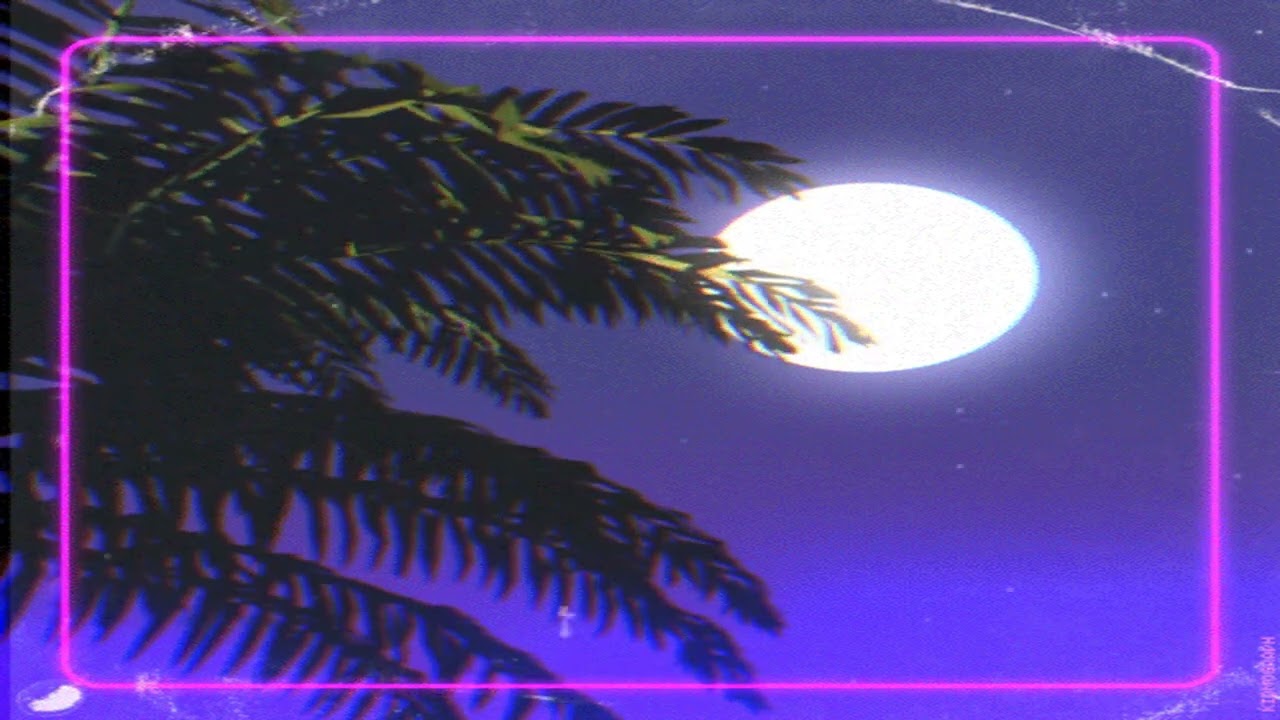 Mr kitty - spirit of the forest (angelic edit)