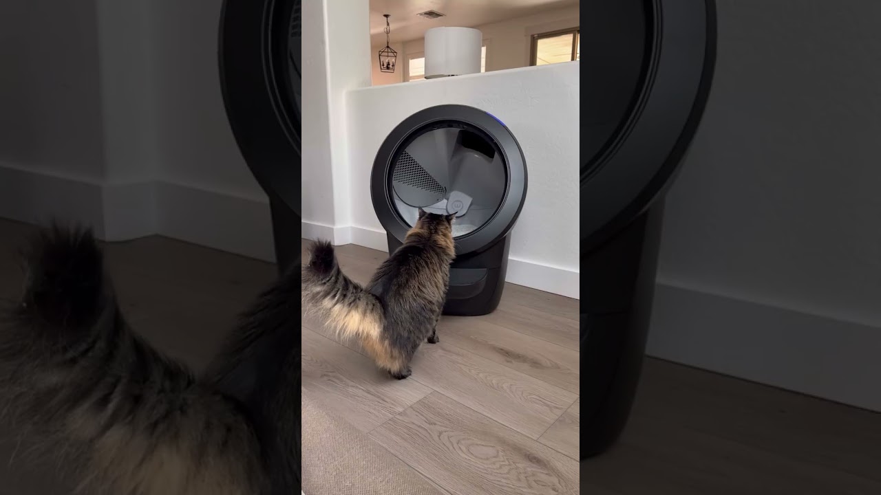 I am SO excited to finally upgrade to the Litter-Robot 4! My cats are going to have a fancier toilet