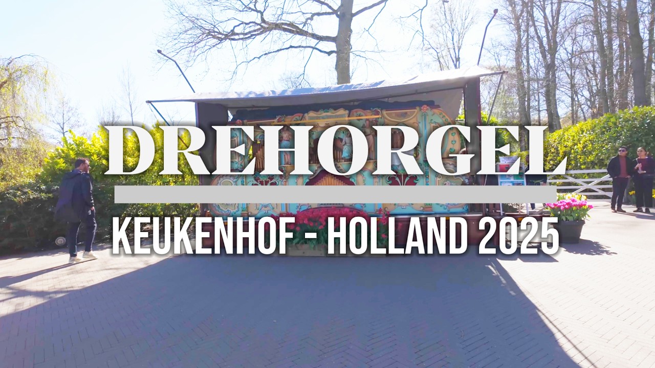 Drehorgel im Keukenhof 2025 🥁🌷