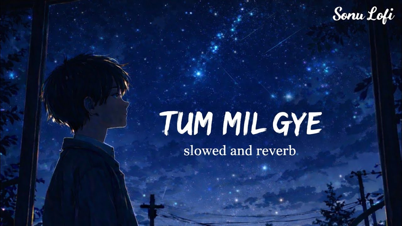 TUM MIL GYE (Slowed + Reverb) | Midnight Feels ✨ | Hindi Lofi Song | Sonu Ai Songs