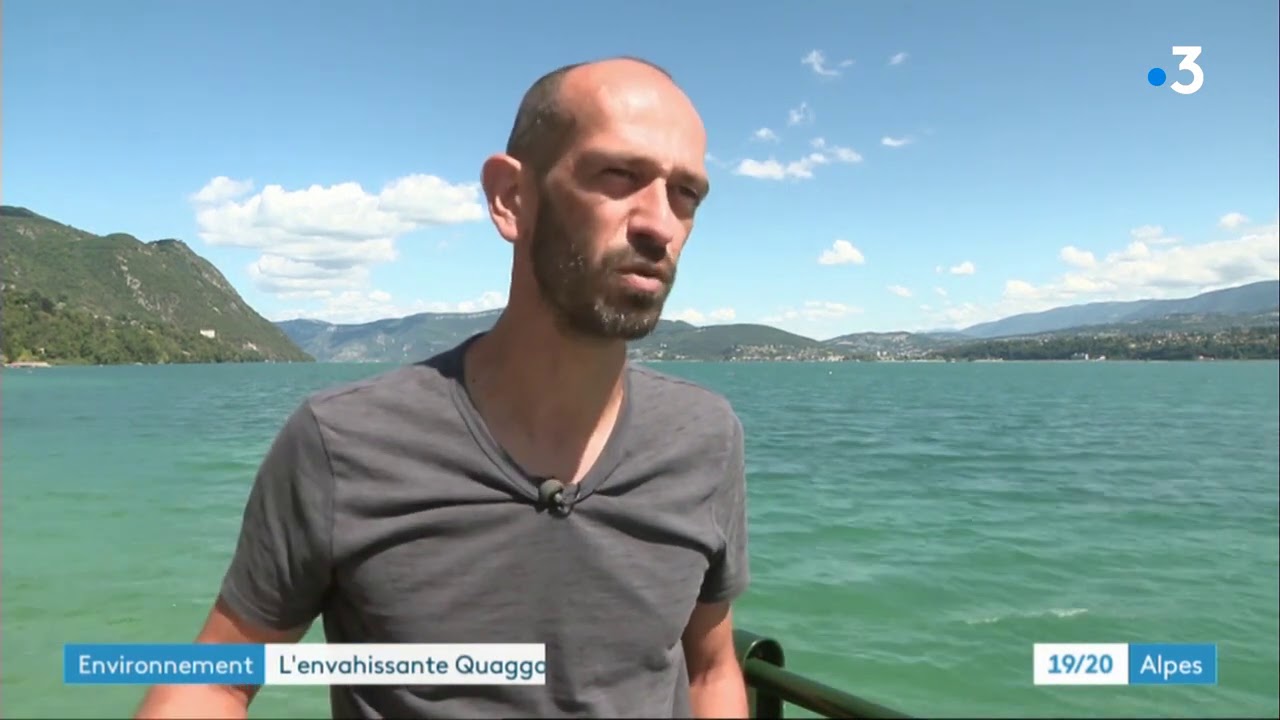 La moule quagga au lac du Bourget - reportage de France 3