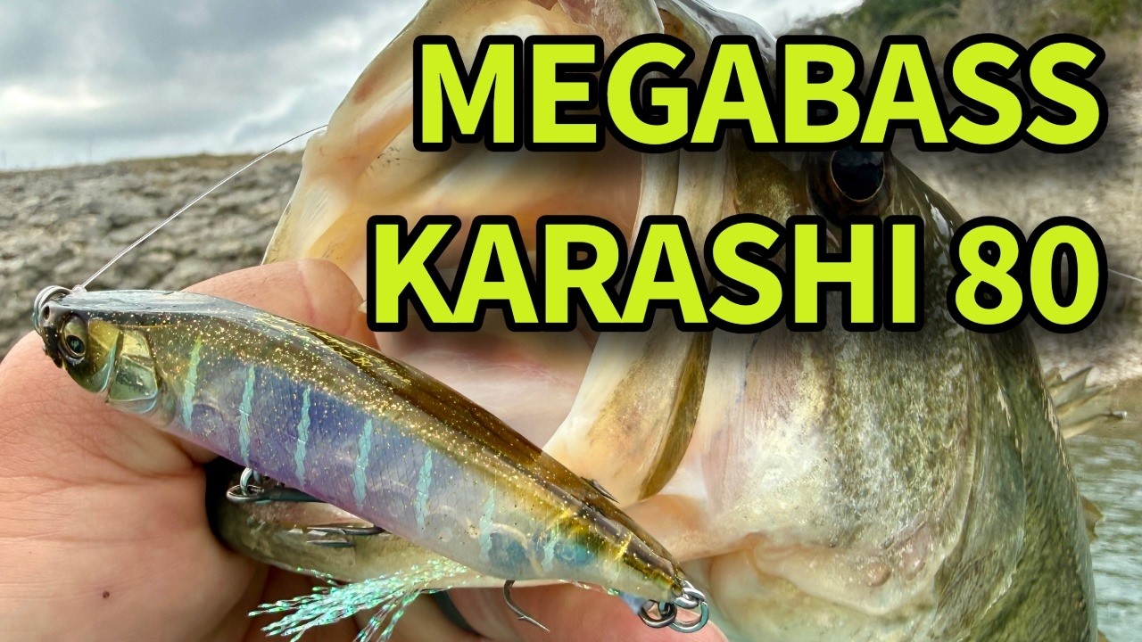Обзор Megabass Karashi 80 | Новинка от Bassmaster Classic