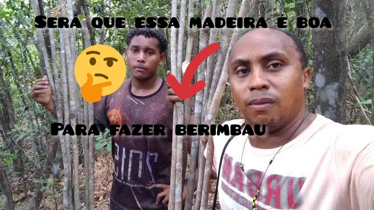 Será que essa madeira é boa para fazer berimbau veja