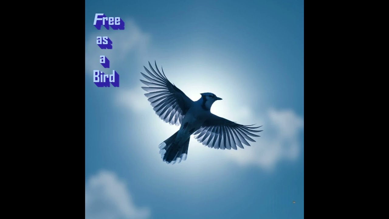 Free as a bird  #darkelectronic  #synthwave  #ballad  #gothic