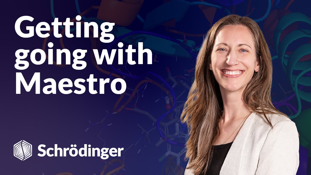 Getting going with Maestro
