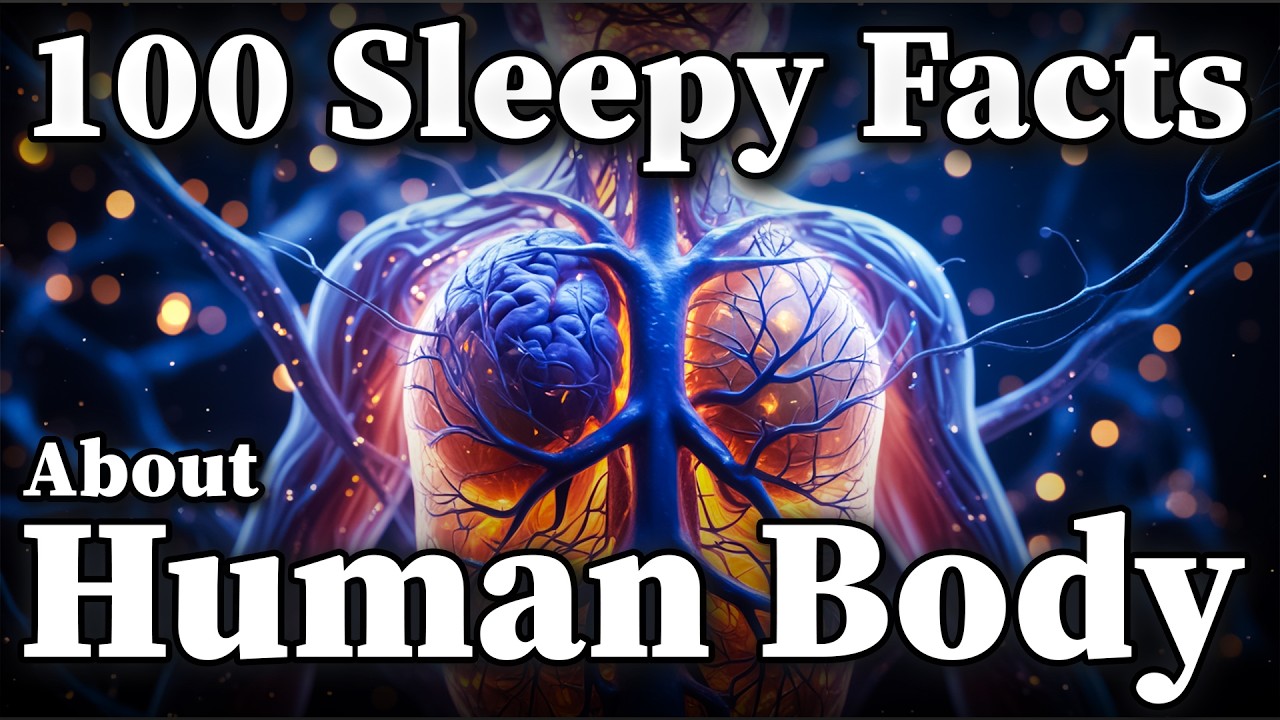 Relaxing Facts About the Human Body to Fall Asleep To Dreamy Science