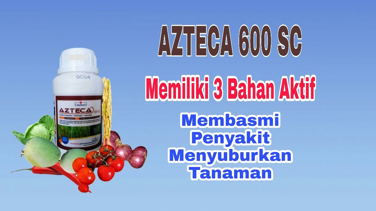 Fungisida Azteca 600sc memiliki tiga bahan aktif