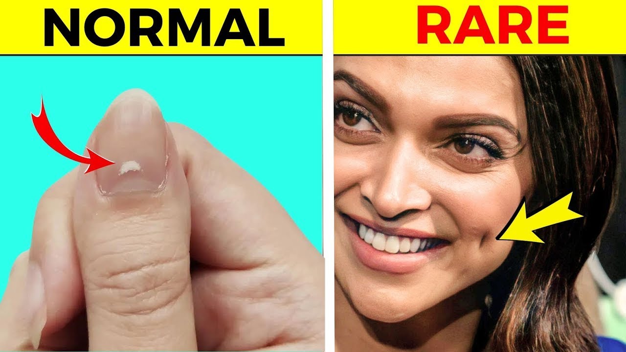 Body Facts That Will Blow Your Mind! | Rewirs