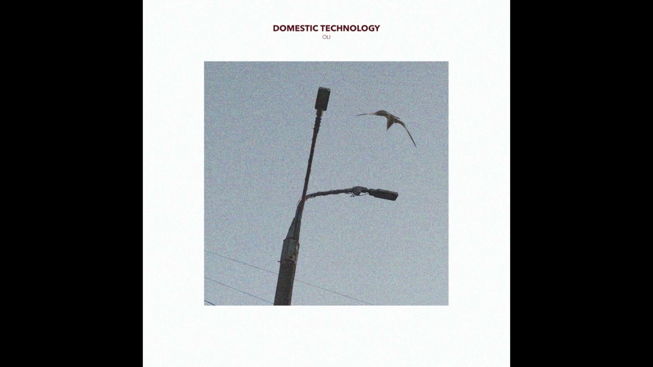 Domestic Technology - Oli (Original Mix)
