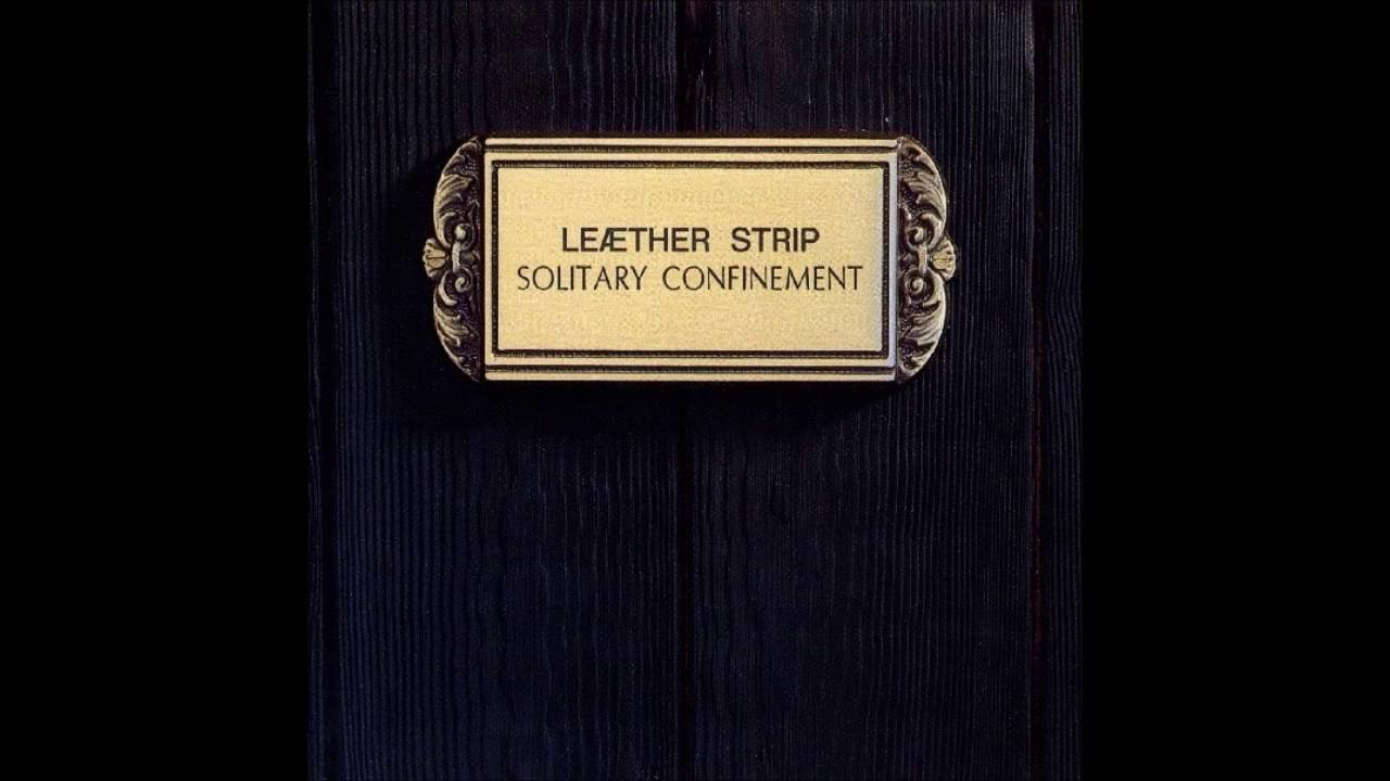 LEAETHER STRIP - 