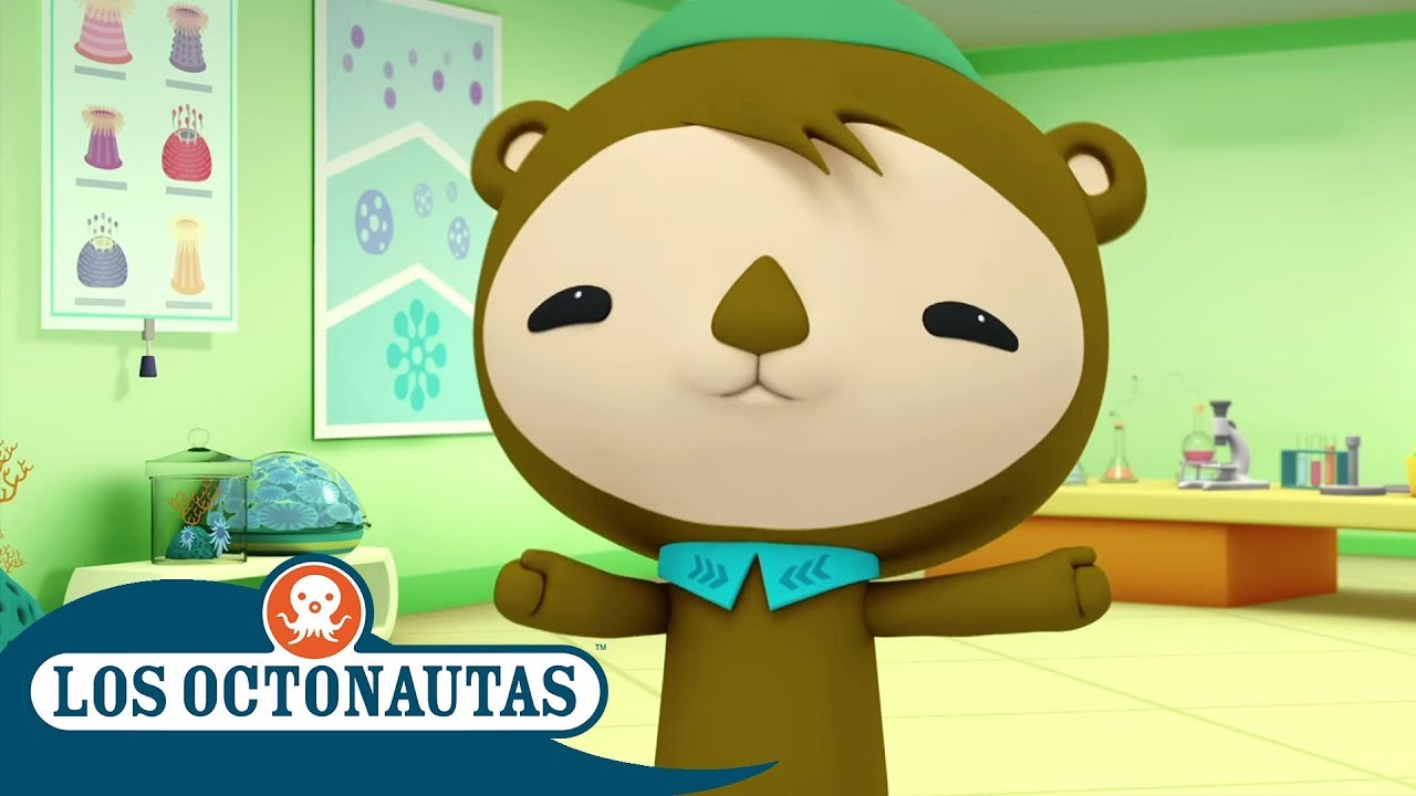 Los Octonautas Oficial en Español - Hasta la próxima aventura | Compilación
