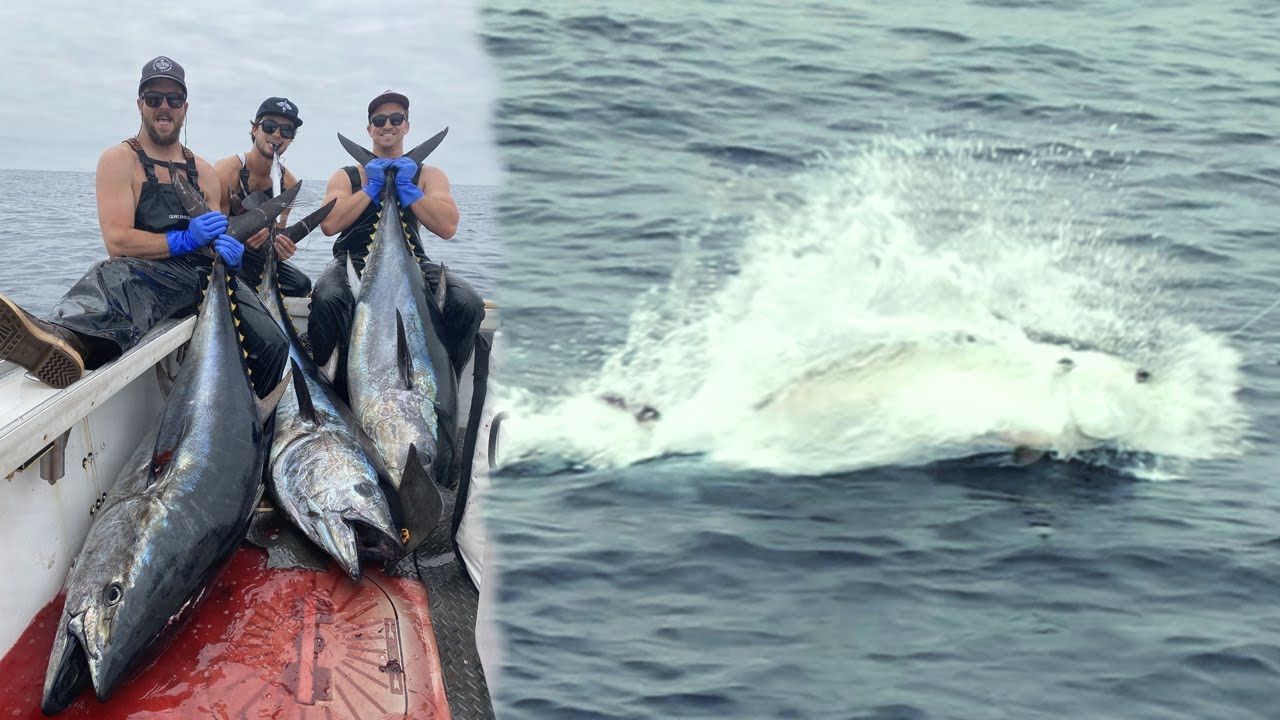 EPIC Drone Footage of Giant Bluefin Tuna Eating a California Flyer Lure