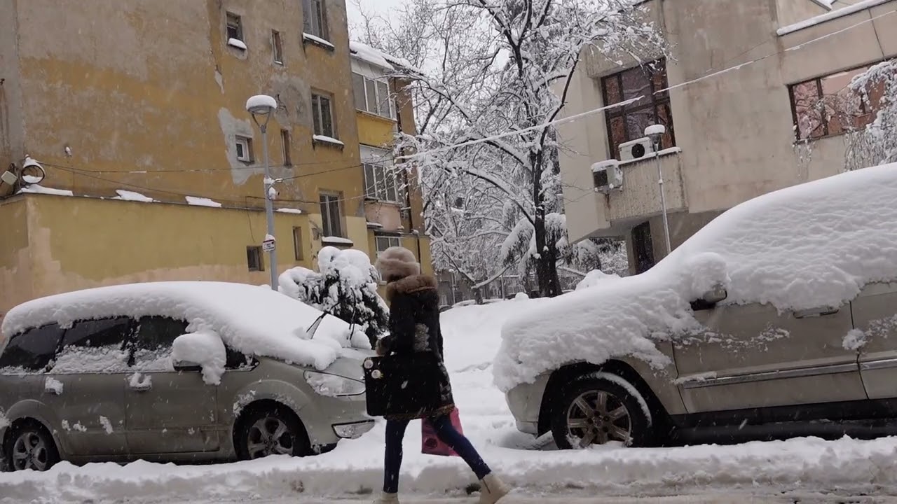 Ruse im Schnee mit Vivald