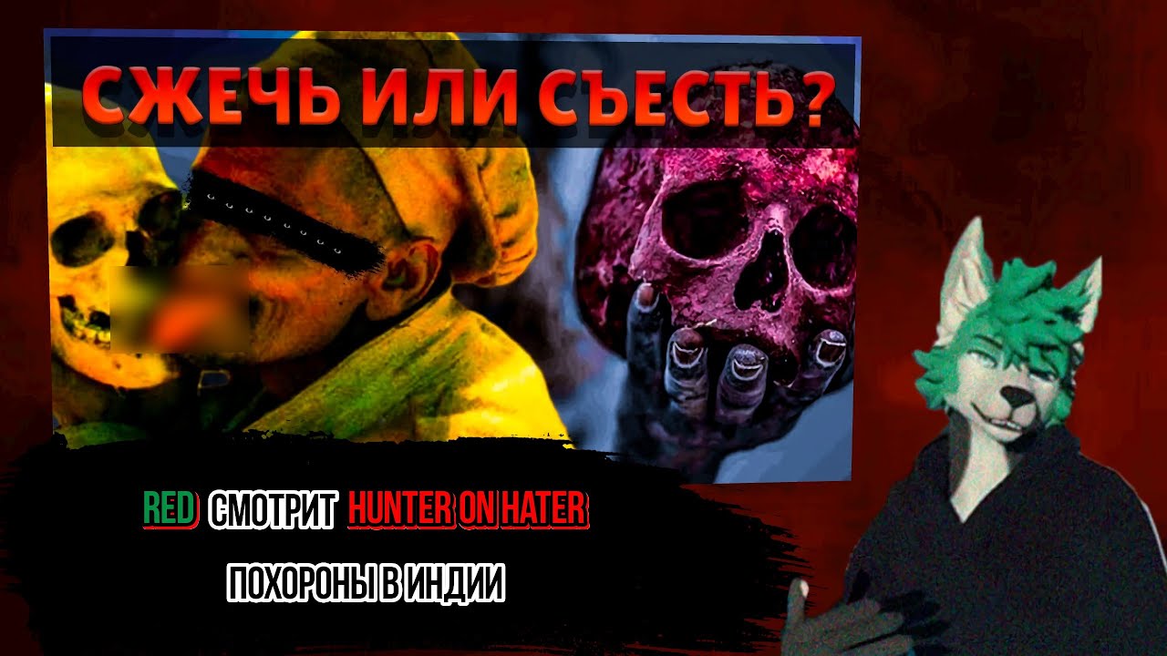 Red смотрит HUNTER ON HATER (@hun1-on-ha1e) Весь УЖАС и РАДОСТЬ Индийских похорон.