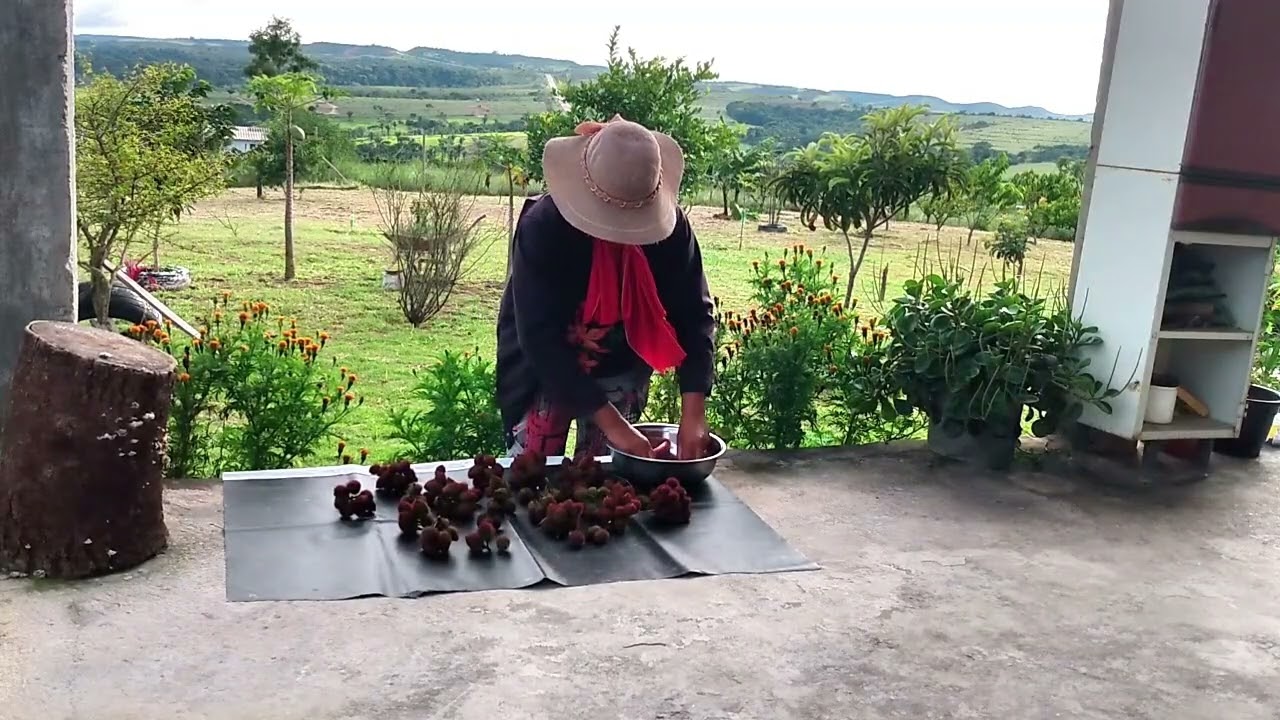 O RECOMEÇO NA ROÇA | Estamos Construindo Um SÍTIO DO ZERO! 🌿