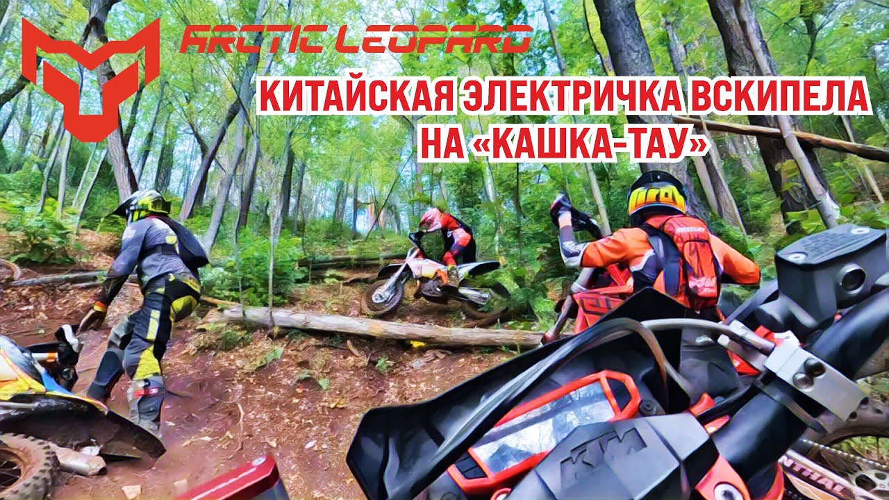 Перегрел Гепарда - Arctic Leopard EXE880 Cheetah. Не зря он арктический?!