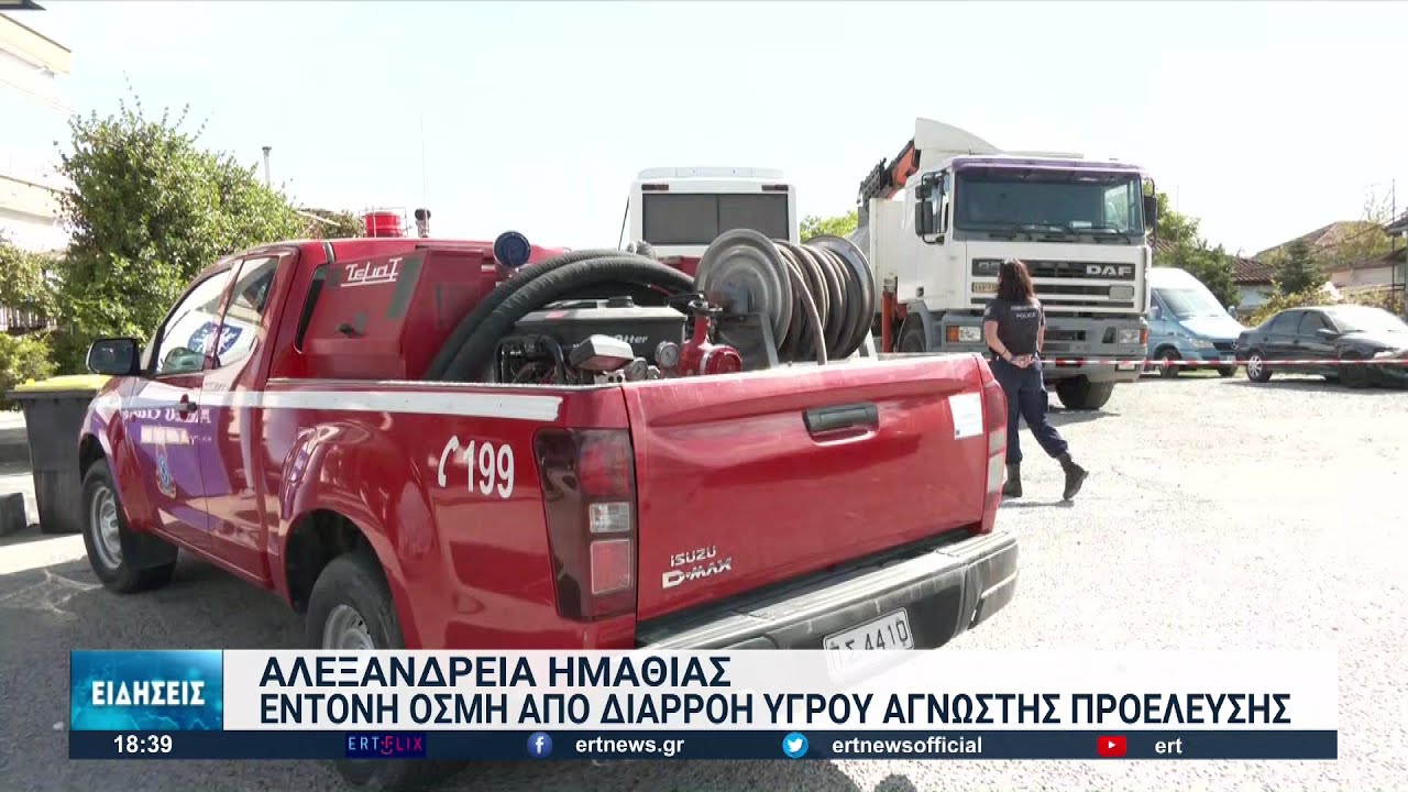 Αλεξάνδρεια Ημαθίας: Κάτοικοι εγκαταλείπουν τα σπίτια τους λόγω δυσοσμίας | 29/09/2022 | ΕΡΤ