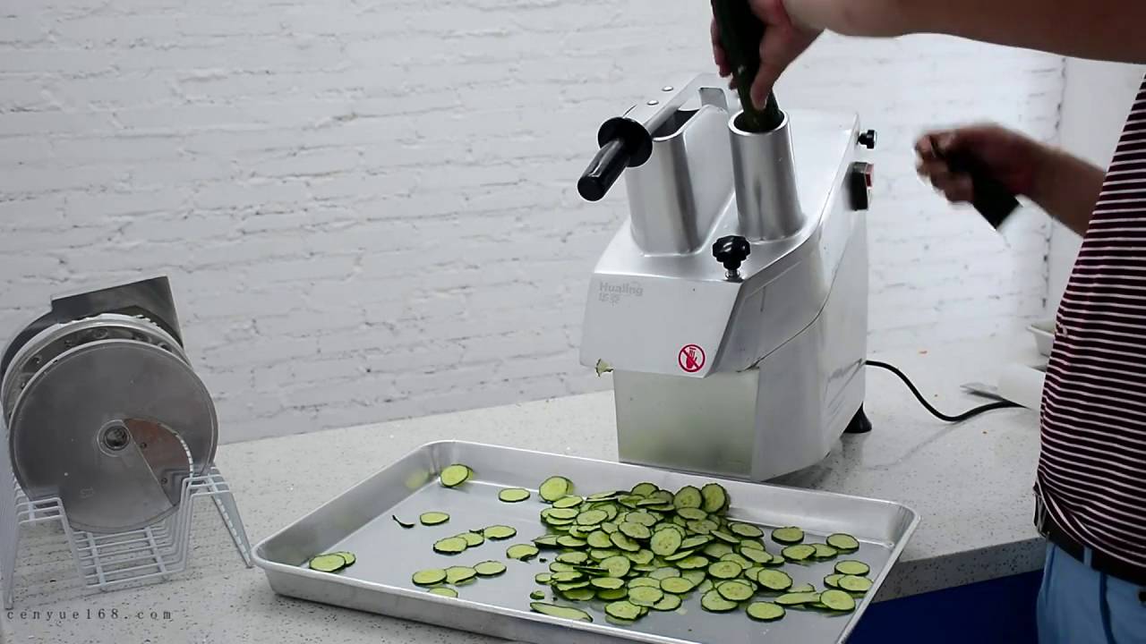 HLC 300 vegetable cutter