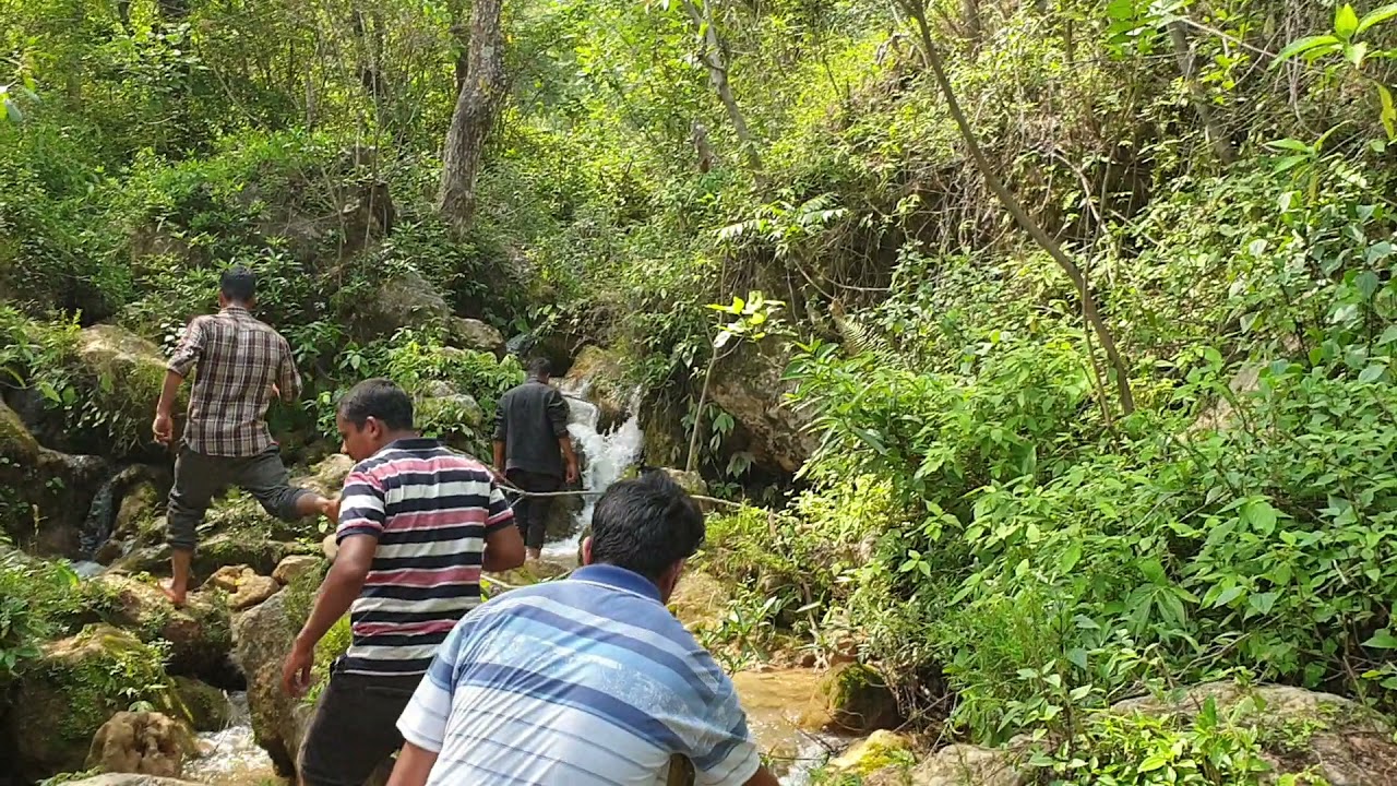 sisne khola