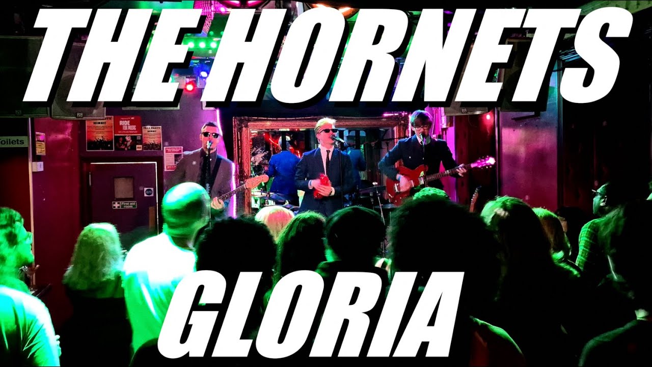 The Hornets - Gloria (Live At The Trinity, Harrow)