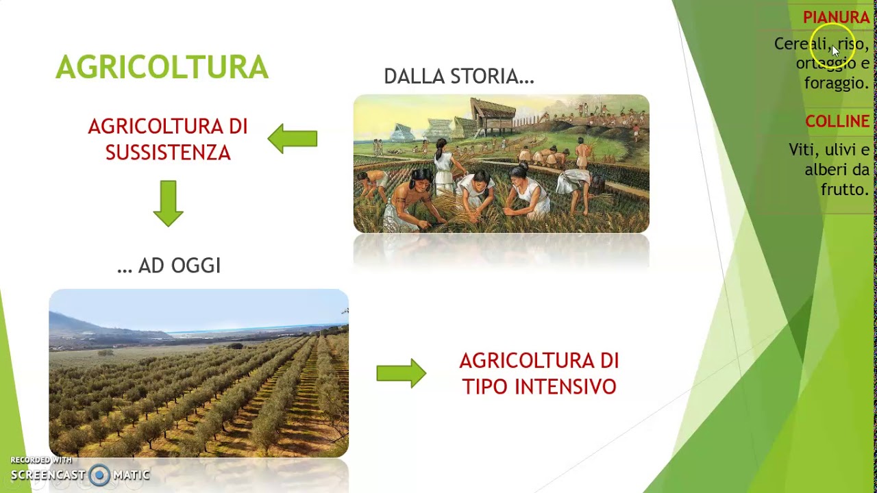 IL SETTORE PRIMARIO (Il lavoro in Italia spiegato ai bambini)