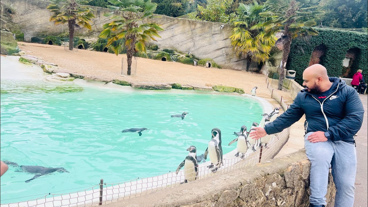 Cotswold Wildlife Park and Garden