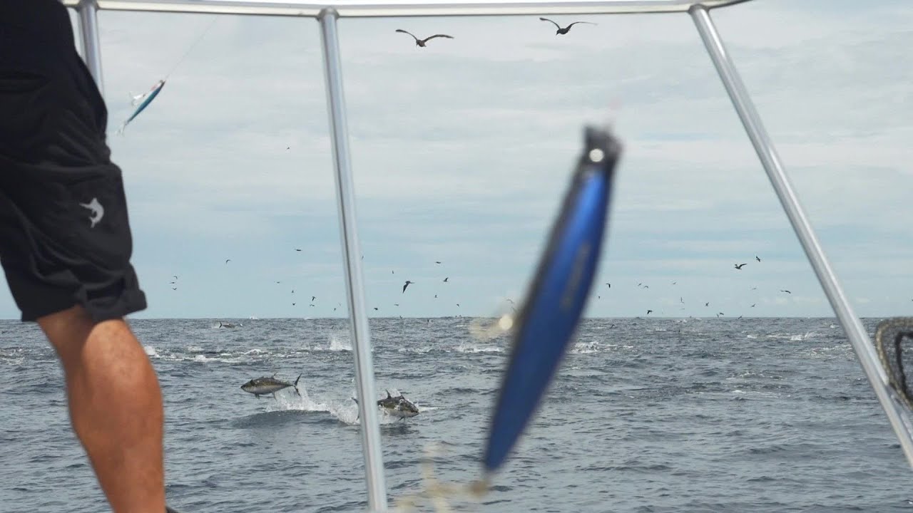 Team Yo-Zuri at Sport Fish Panama Island Lodge 2019