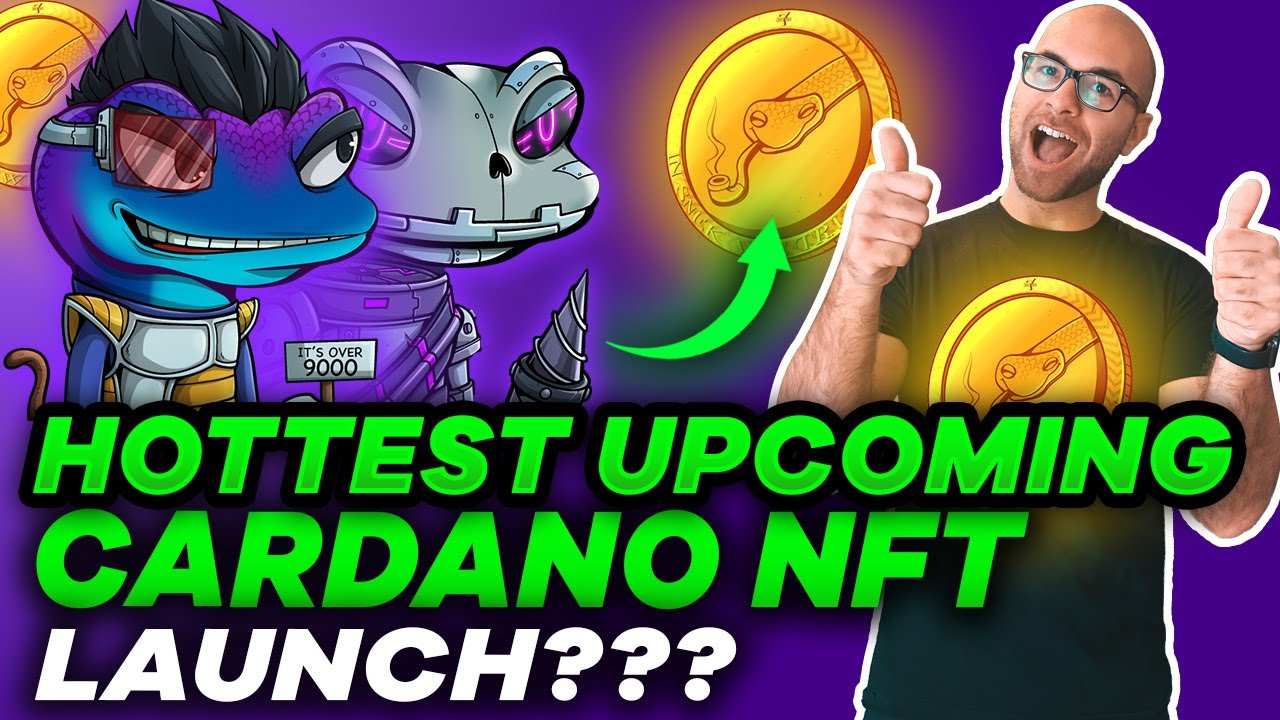 Introducing Snekkies Cardano NFT: Mine Your Way to Top NFT Rewards & Snek Tokens - what to know!