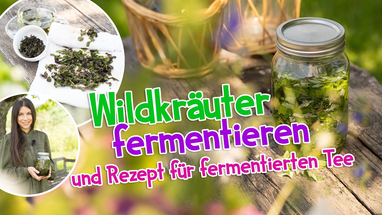 Wildkräuter fermentieren 🌿 Fermentierter Tee #wildkräuter #kräuter #rezept #selbstversorger