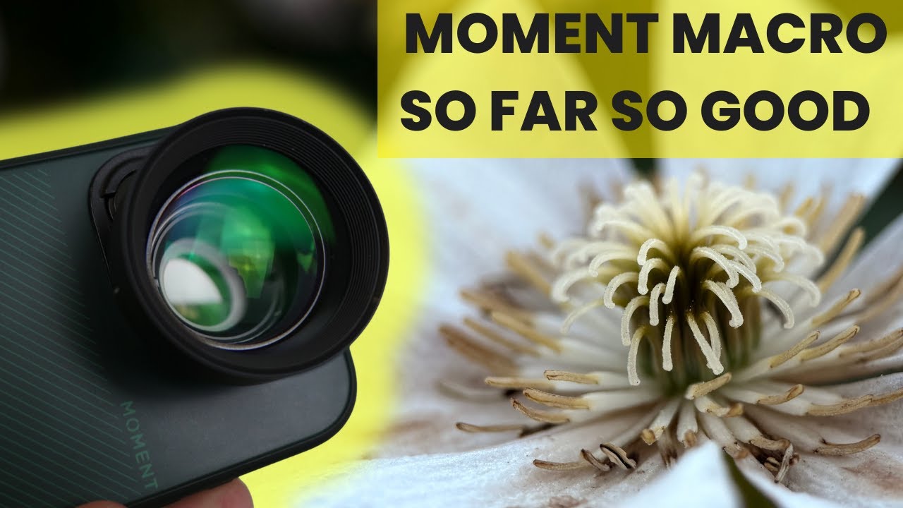 First Impressions on the Moment Macro 75 mm T-series - the first mobile lens I actually like!