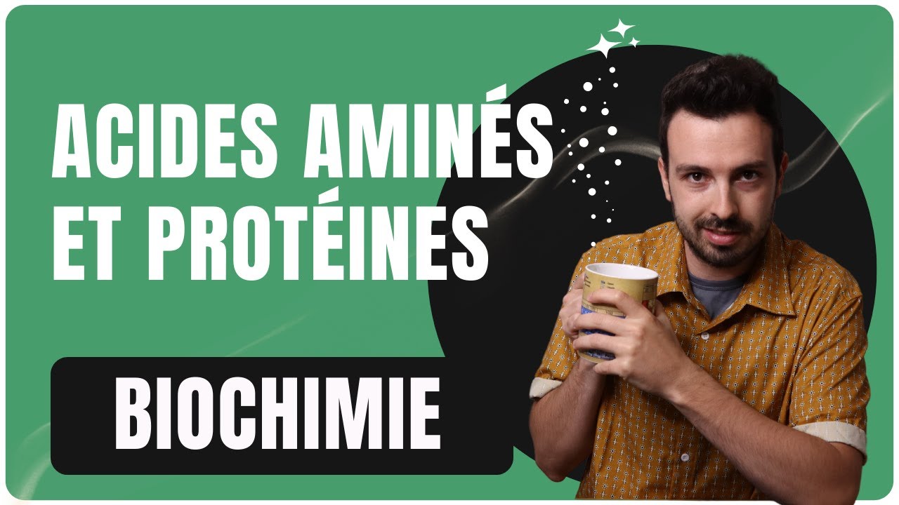 LICENCES LAS / PASS : 🧬Acides aminés, peptides et protéines (Stream-cours)