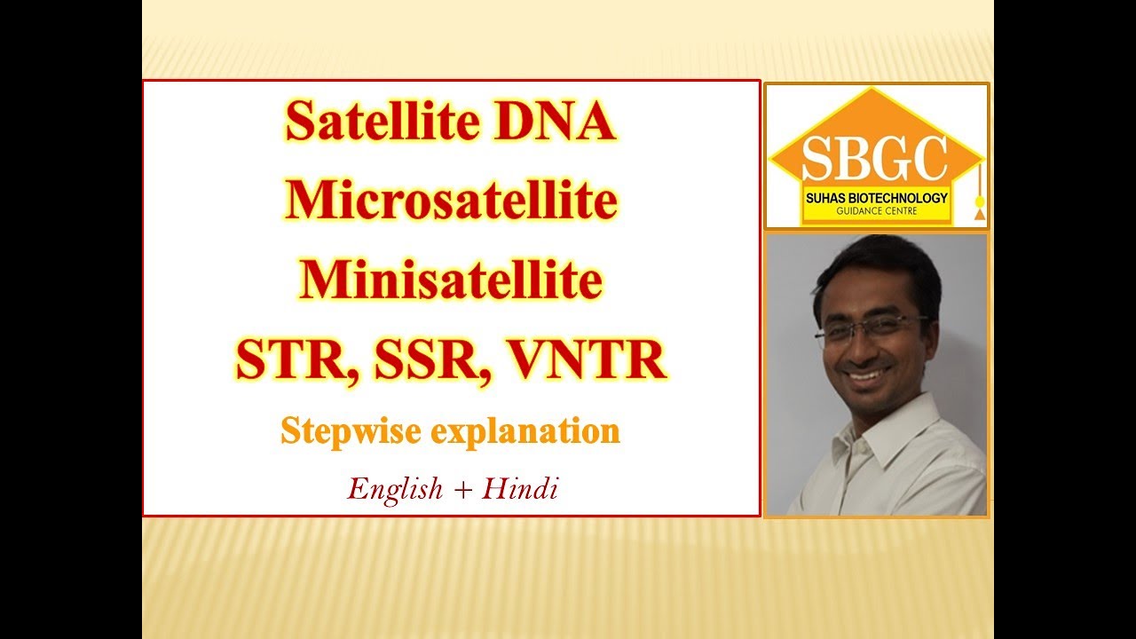 Satellite DNA, microsatellite (Short Tandem Repeats i.e. STR, SSR), minisatellite, VNTR