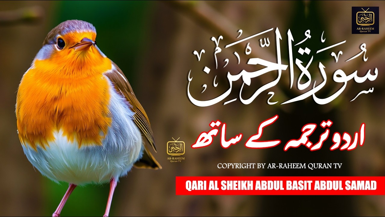 Surah Rahman With Urdu Translation By Qari Abdul Basit I Urdu And Hindi Tarjuma | Part 3