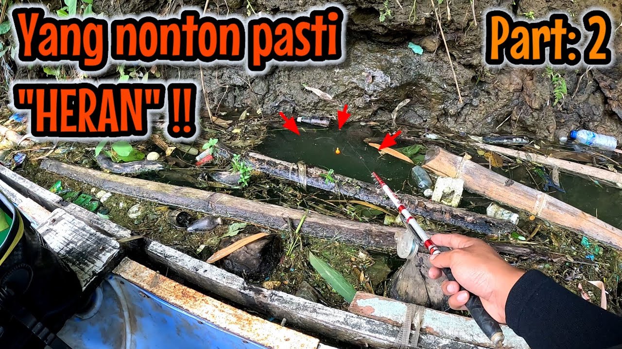 Part: 2 SETIAP ORANG YANG NONTON PASTI HERAN ‼️ mancing ikan red devil NAHOL MANIA