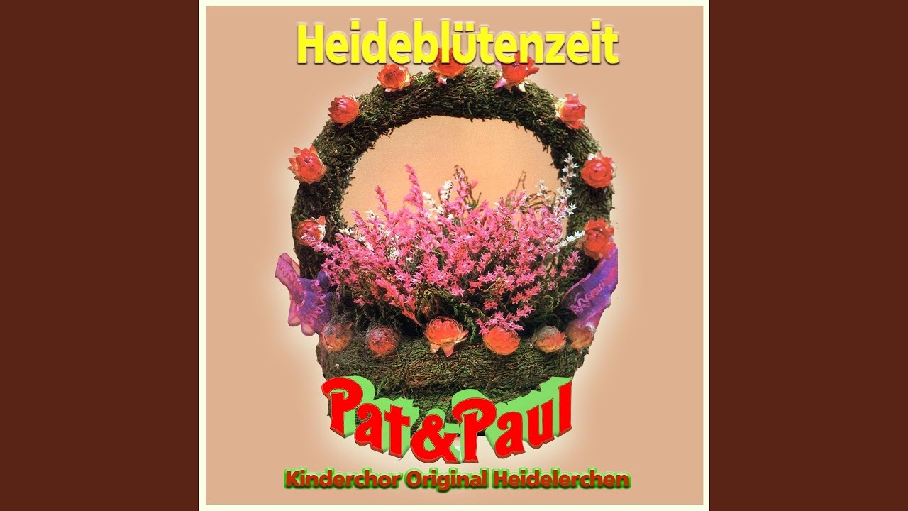 Kreuz und quer durch die Heide