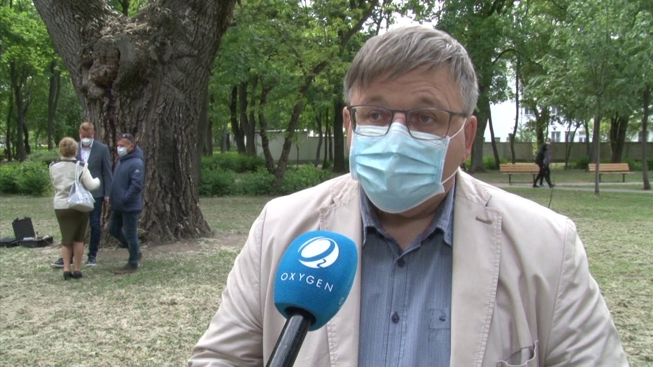 Bemutatkozott a Fakopp - K&uuml;l&ouml;nleges m&oacute;dszerrel vizsg&aacute;lj&aacute;k Győrben a balesetvesz&eacute;lyes f&aacute;kat