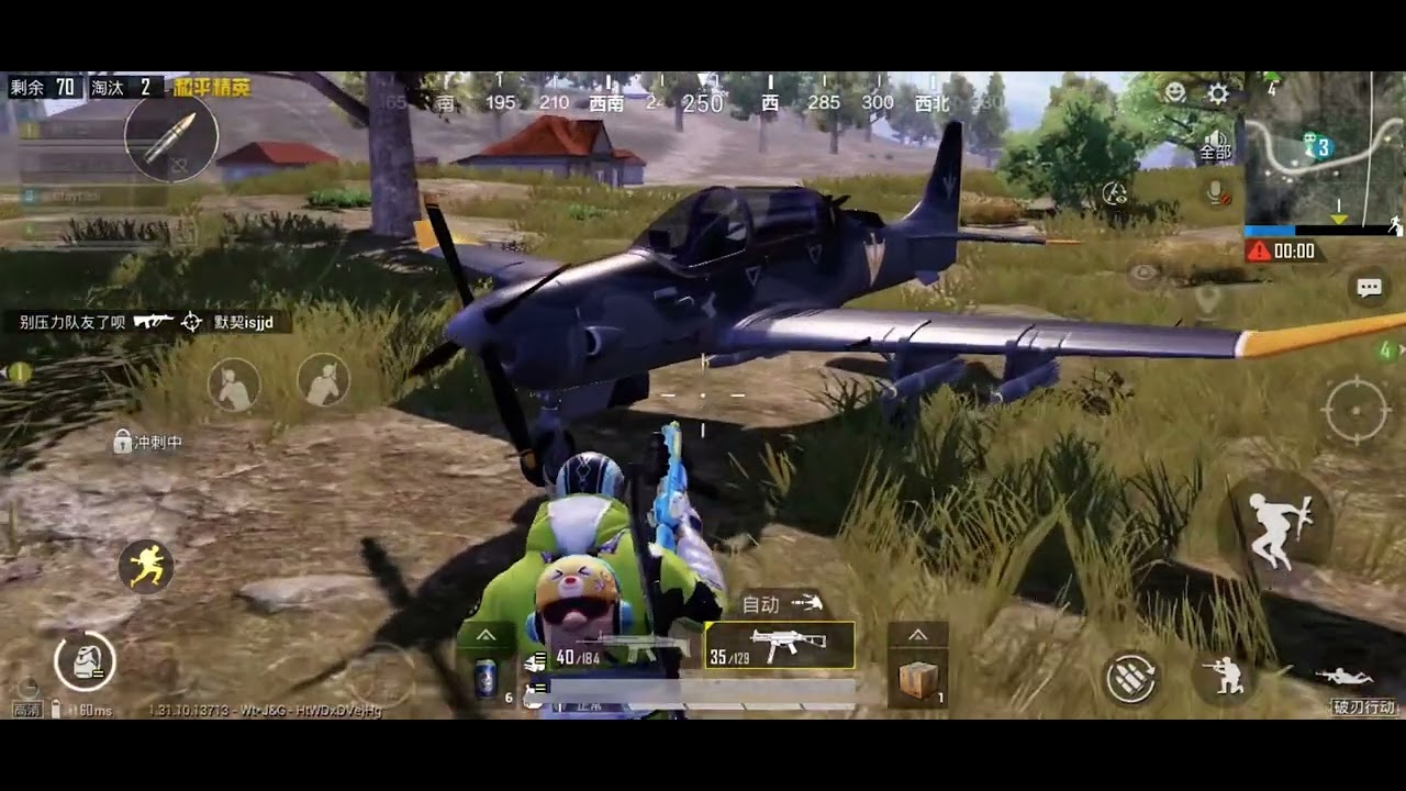 Game For Peace (Chinese pubg )