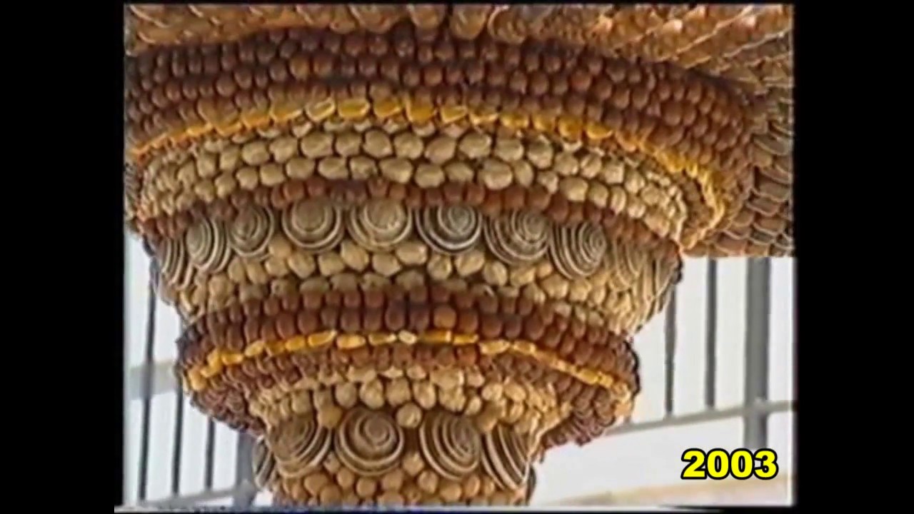 Luoghi di Sicilia nel tempo – San Biagio Platani: gli archi di pane del 2003