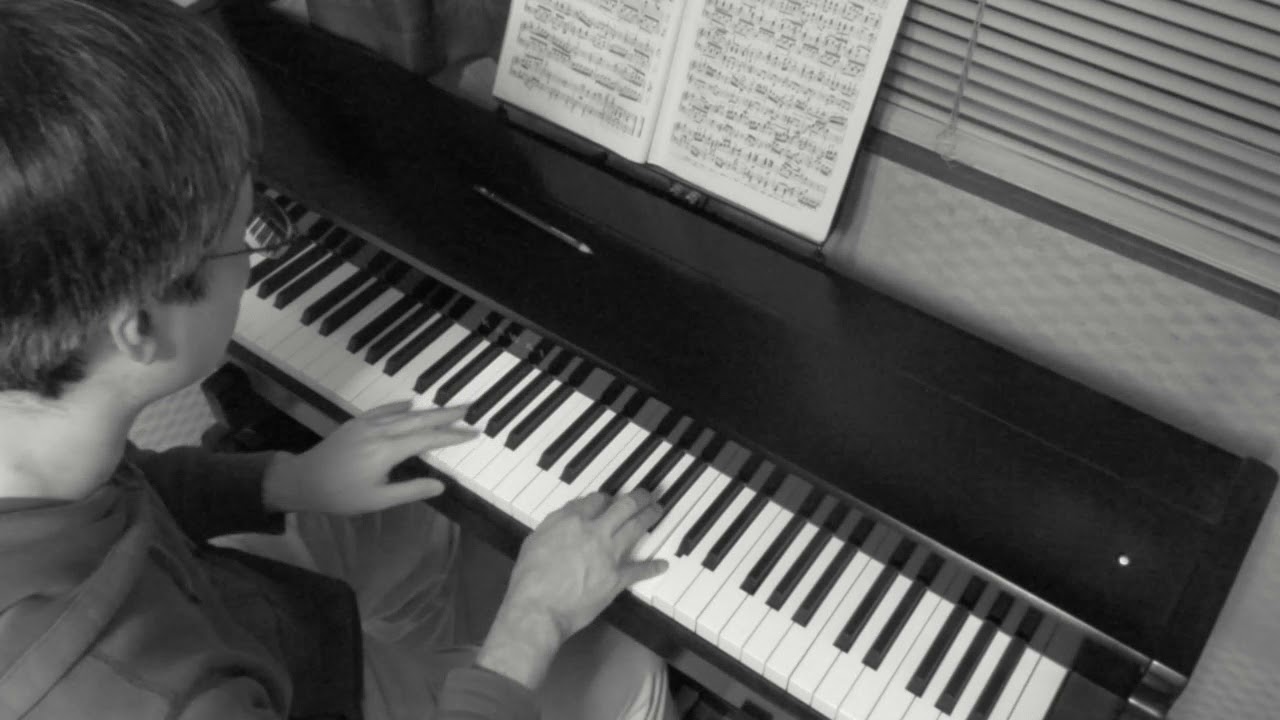 Beethoven / AUS DER ERSTEN SYMPHONIE