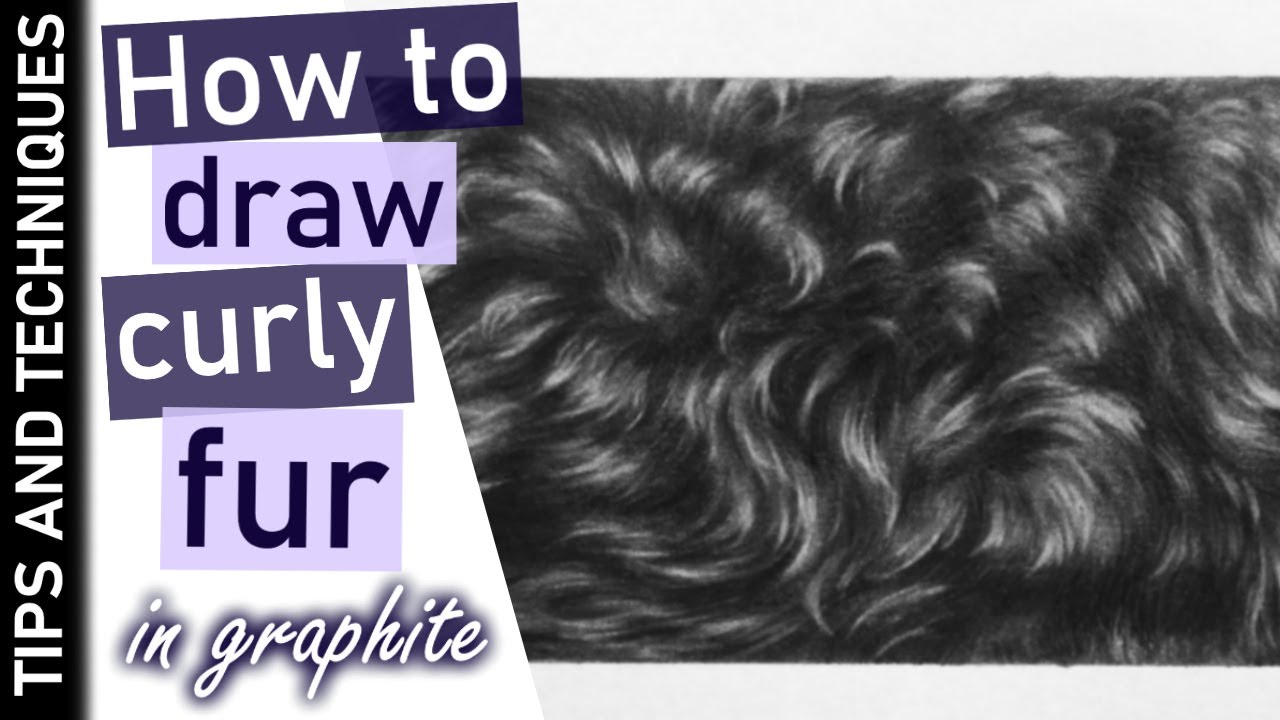 How to draw black curly fur in graphite | Drawing realistic fur