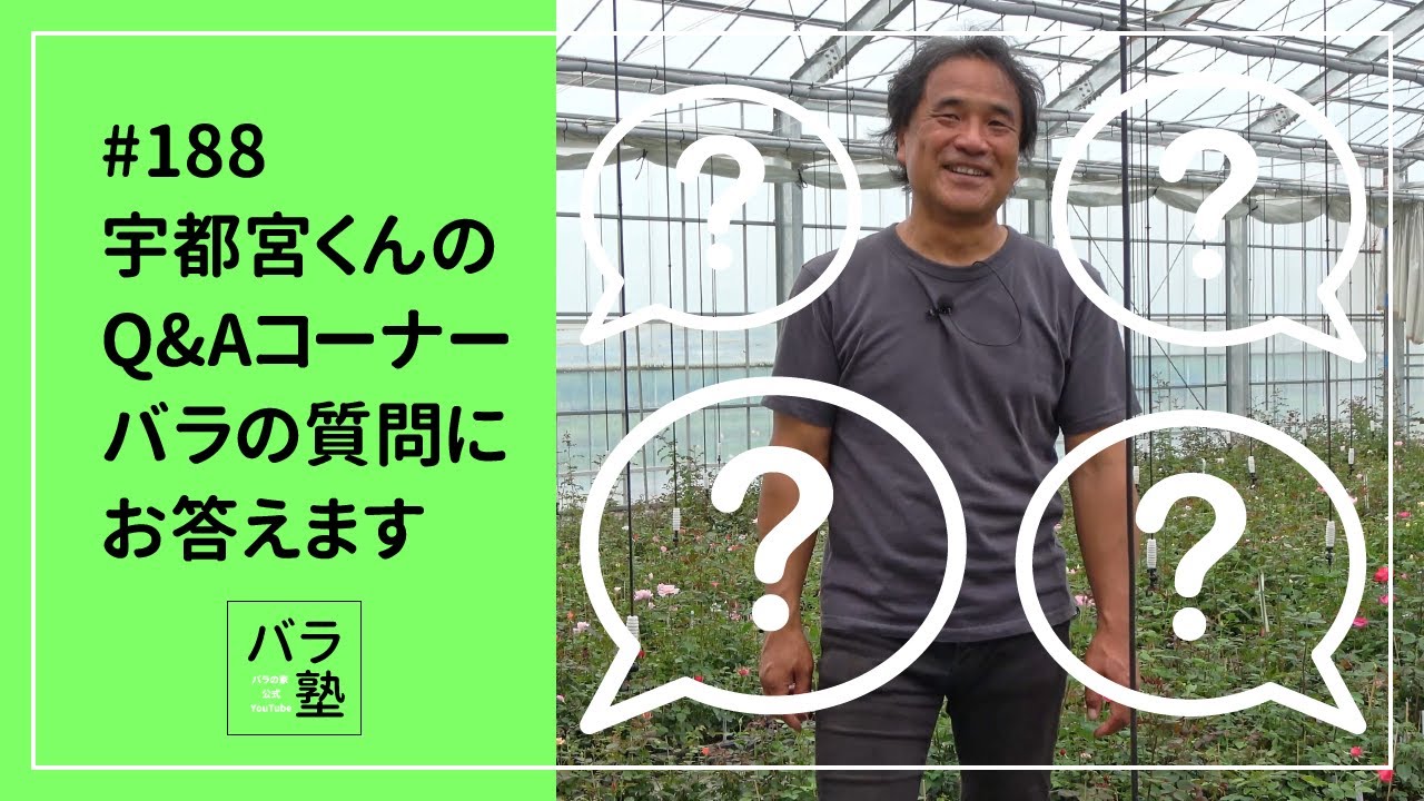 #188 宇都宮くんのQ&Aコーナー バラの質問にお答えます