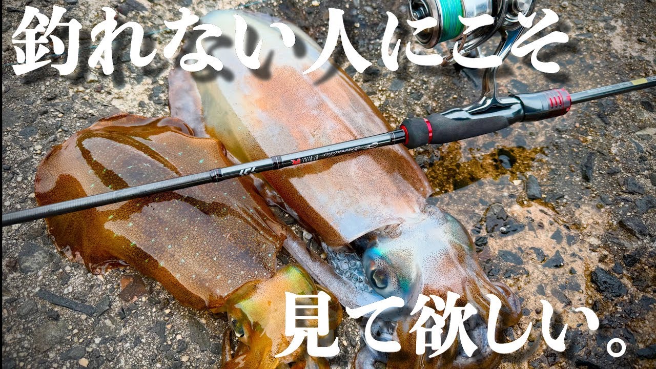 【エギング】春の大型アオリイカが釣れない？そんな時はココを攻めると親アオリイカが連発します！