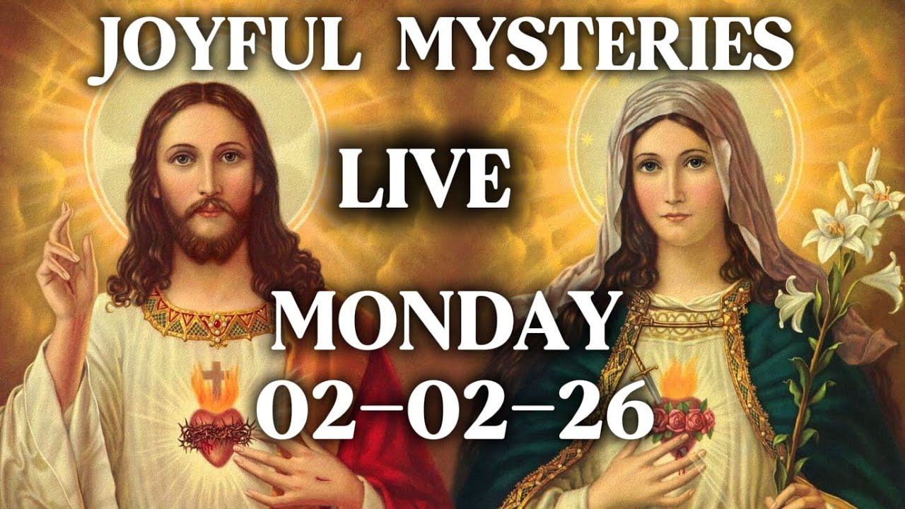 Live | Joyful Mysteries Of The Dominican Rosary | Monday Feast of the Presentation of the Lord 2026