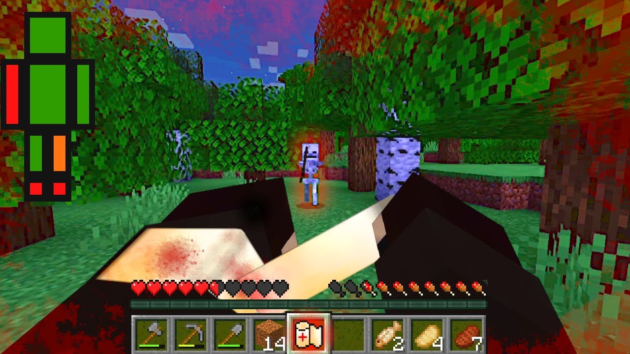Minecraft With Realistic Health Systems