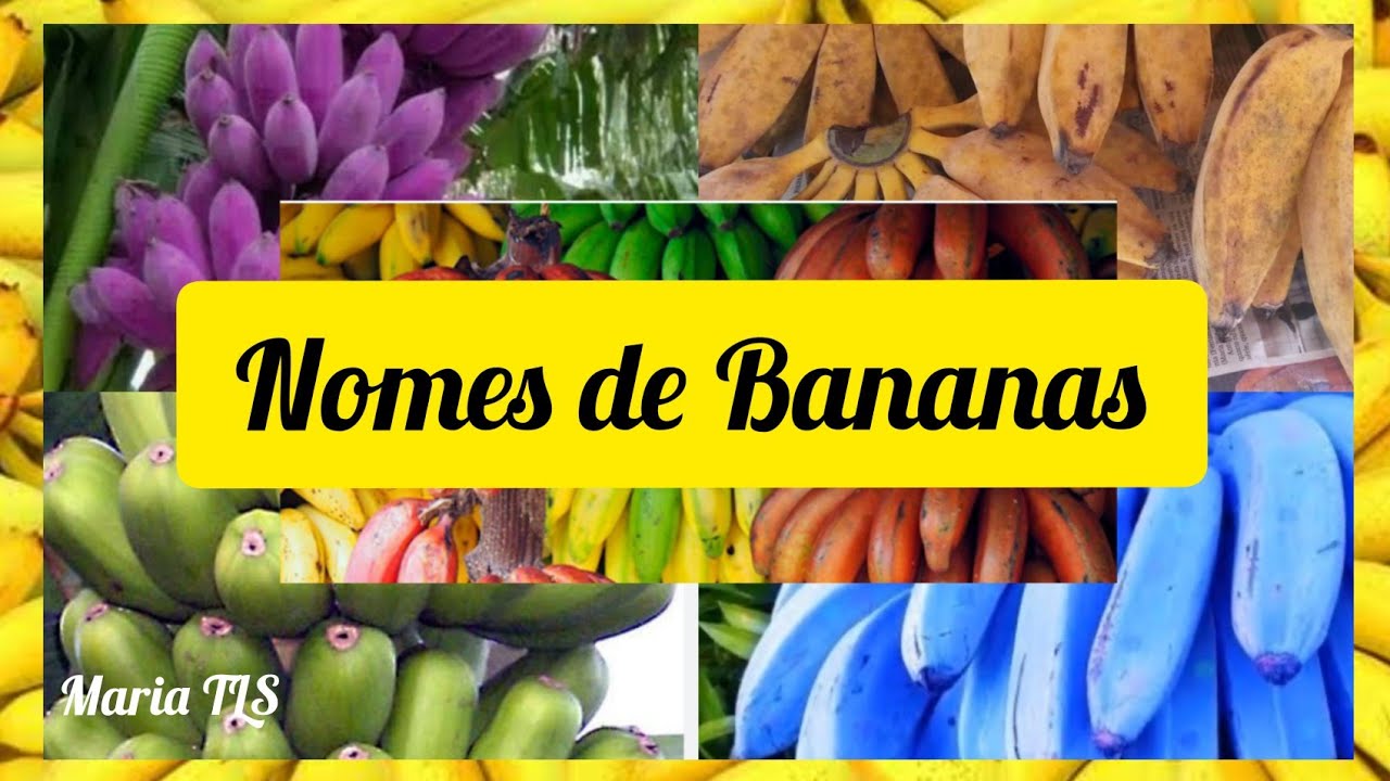 +20 nomes Espécies de BANANAS EXÓTICAS\(*;*)/#mariatls #nomesdebananas #banana