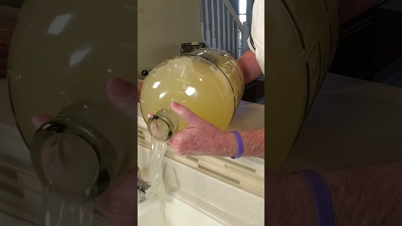 Вино испортилось &mdash; распространённая ошибка виноделия #вино #пивоварня #как