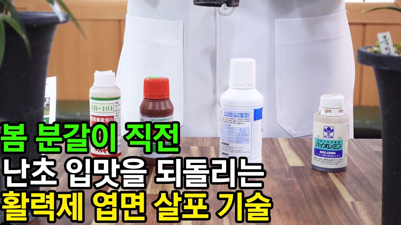 142편 활력제 엽면 살포의 원리와 기술 [춘란,풍란,약초,명장,다육,난초,주식,재테크]