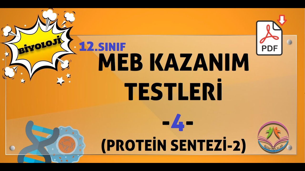 Biyoloji MEB kazanım kavrama testleri 12.sınıf -4 (Protein sentezi-2)